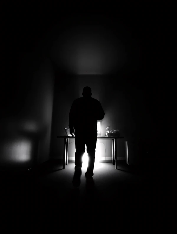 Silhouette in Light