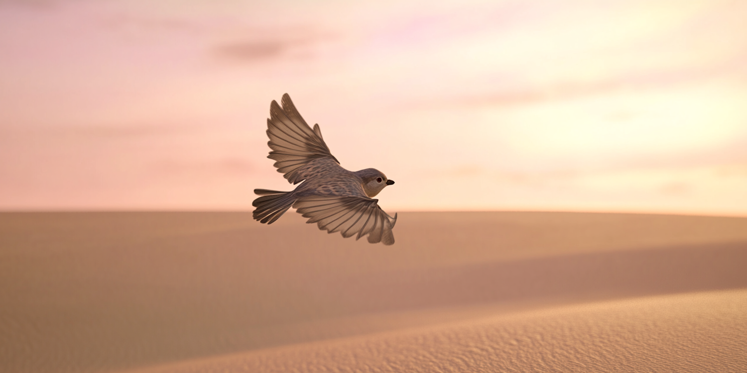 Bird in Flight Over Sand Dunes