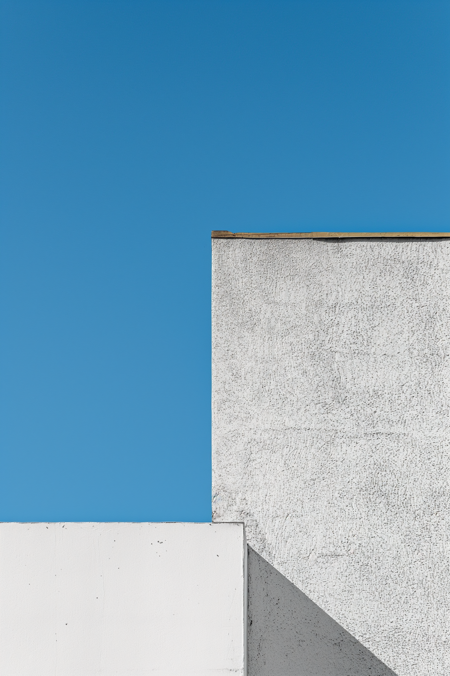 Minimalist Architectural Contrast