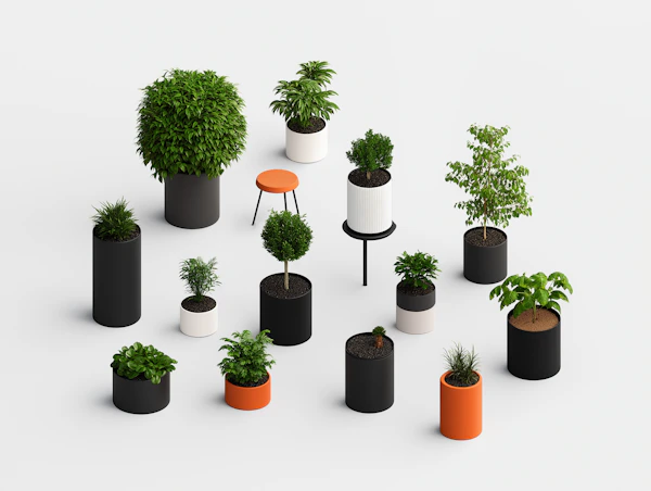 Modern Plant Display