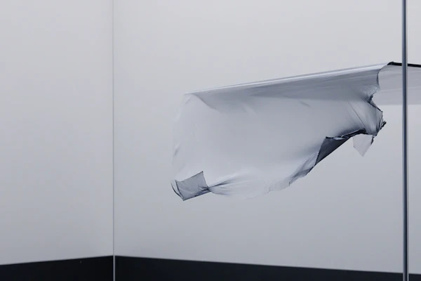 Minimalist Plastic Art
