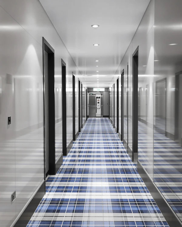 Modern Minimalist Hallway
