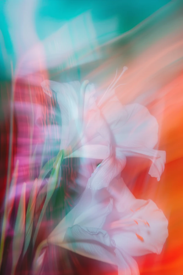 Dreamy Floral Abstract