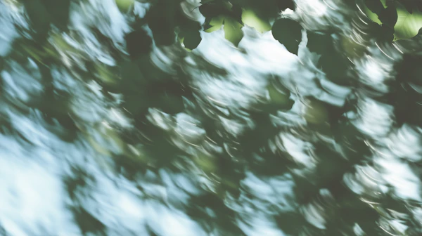 Abstract Nature Scene
