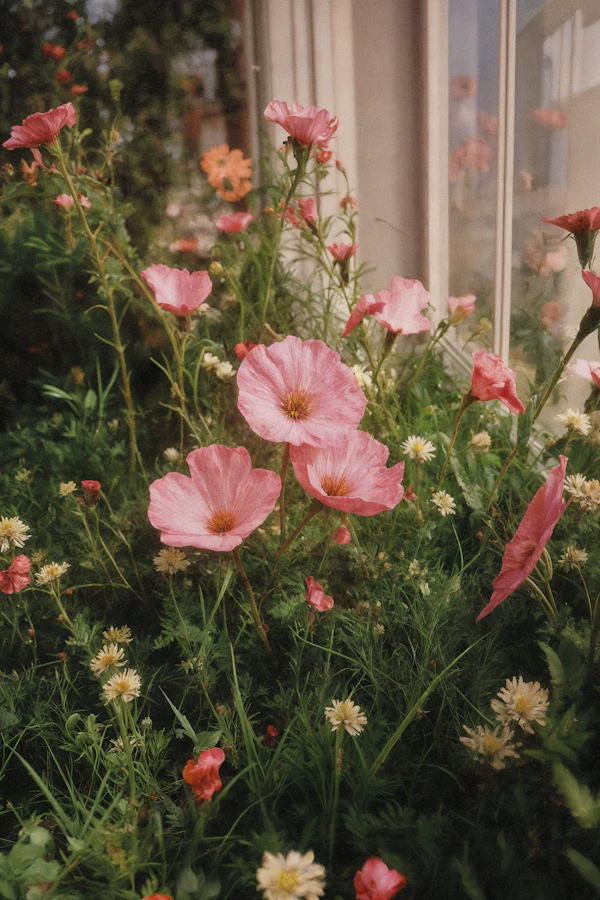 Serene Garden Scene