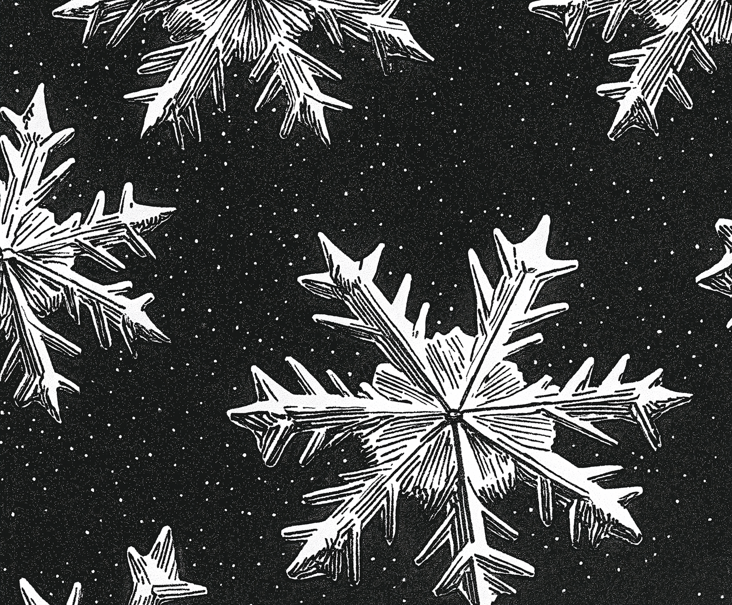 Intricate Snowflakes on Dark Background