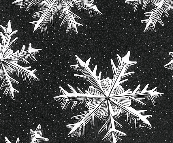 Intricate Snowflakes on Dark Background