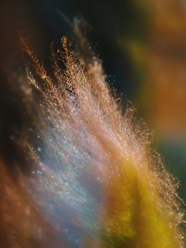 Ethereal Fiber Glow