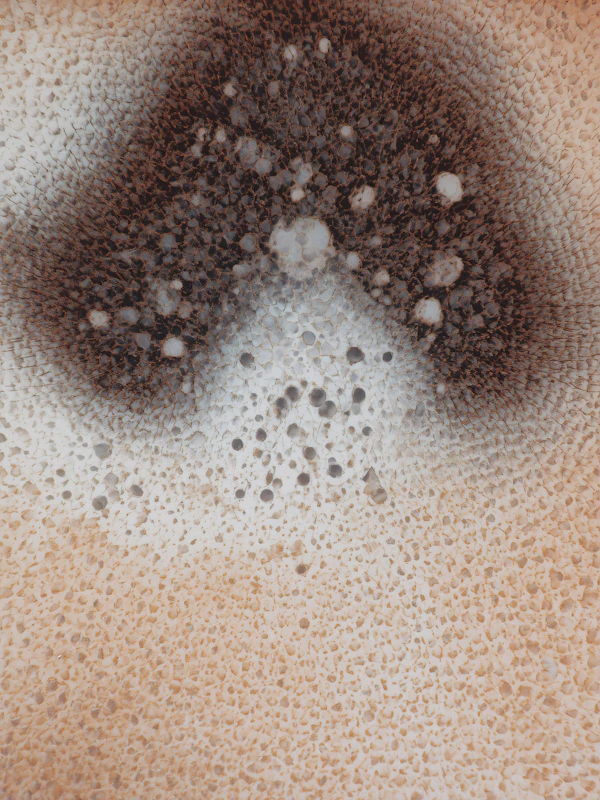 Textured Surface Close-Up