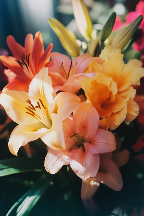 Vibrant Lily Bouquet