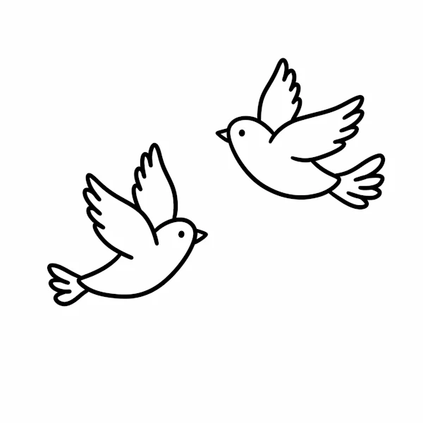 Minimalist Birds in Flight