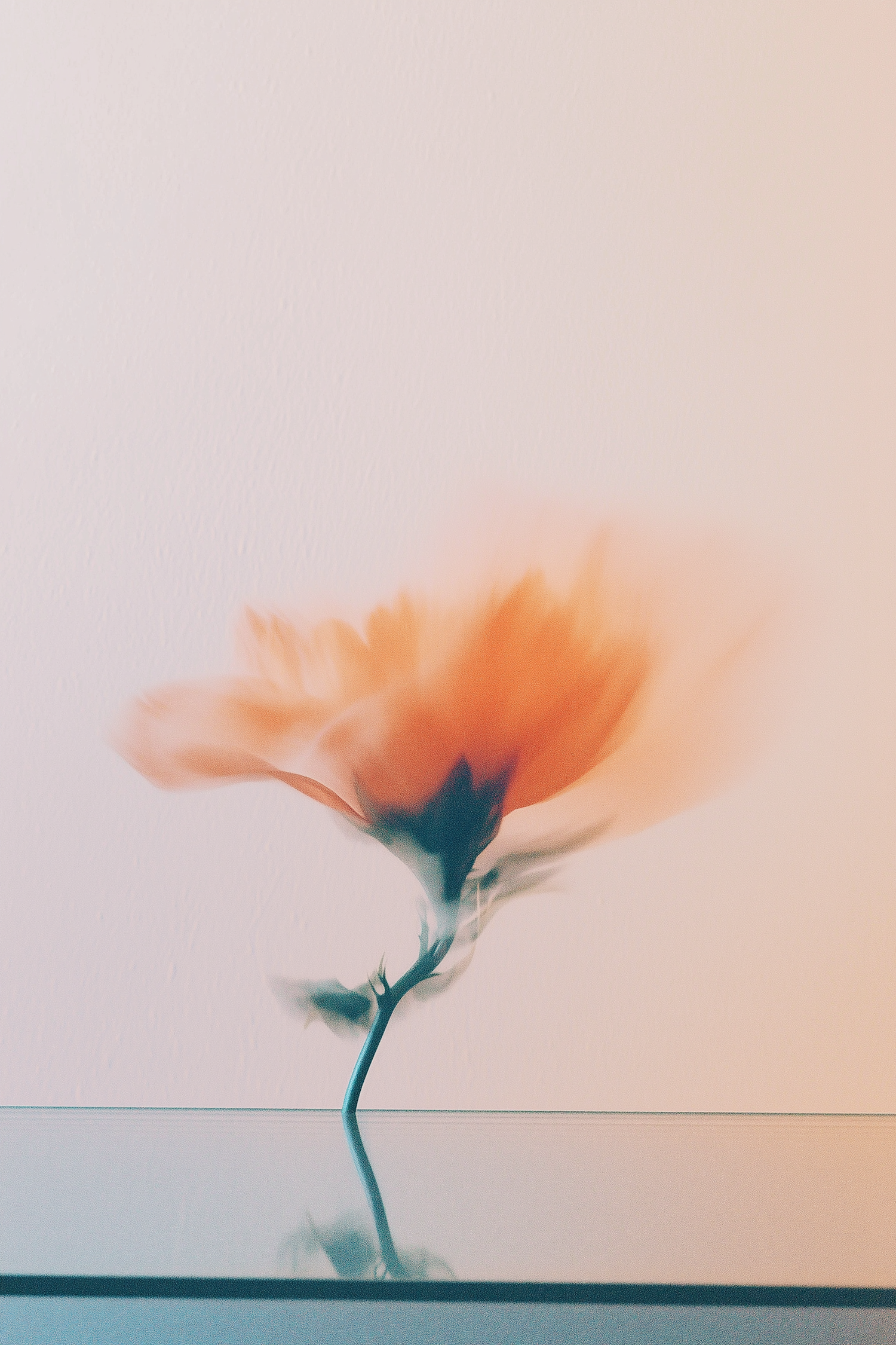 Ethereal Orange Flower in Motion