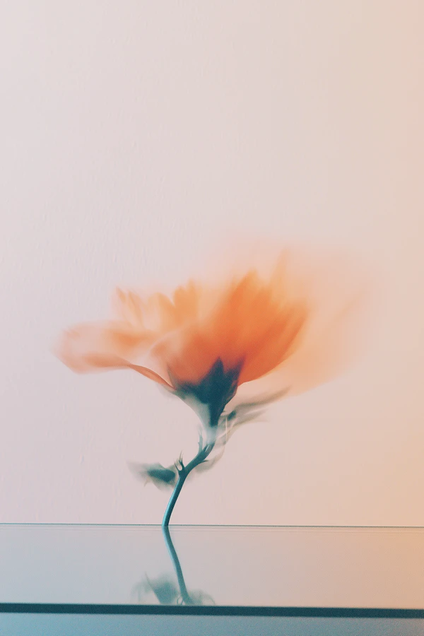 Ethereal Orange Flower in Motion