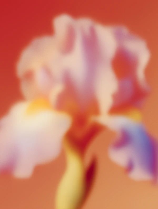 Dreamy Flower Abstract