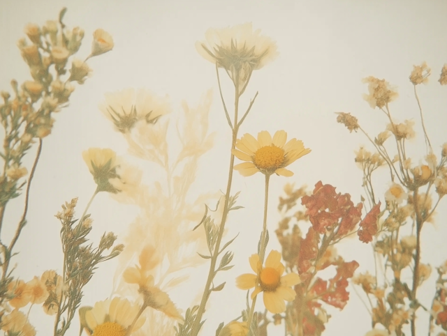 Delicate Wildflower Arrangement