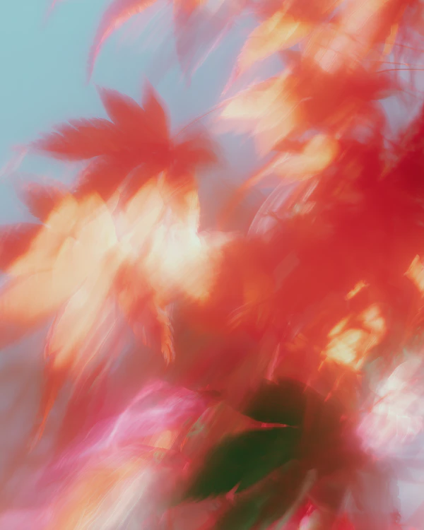 Vibrant Leaves Motion
