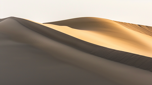 Serene Sand Dunes