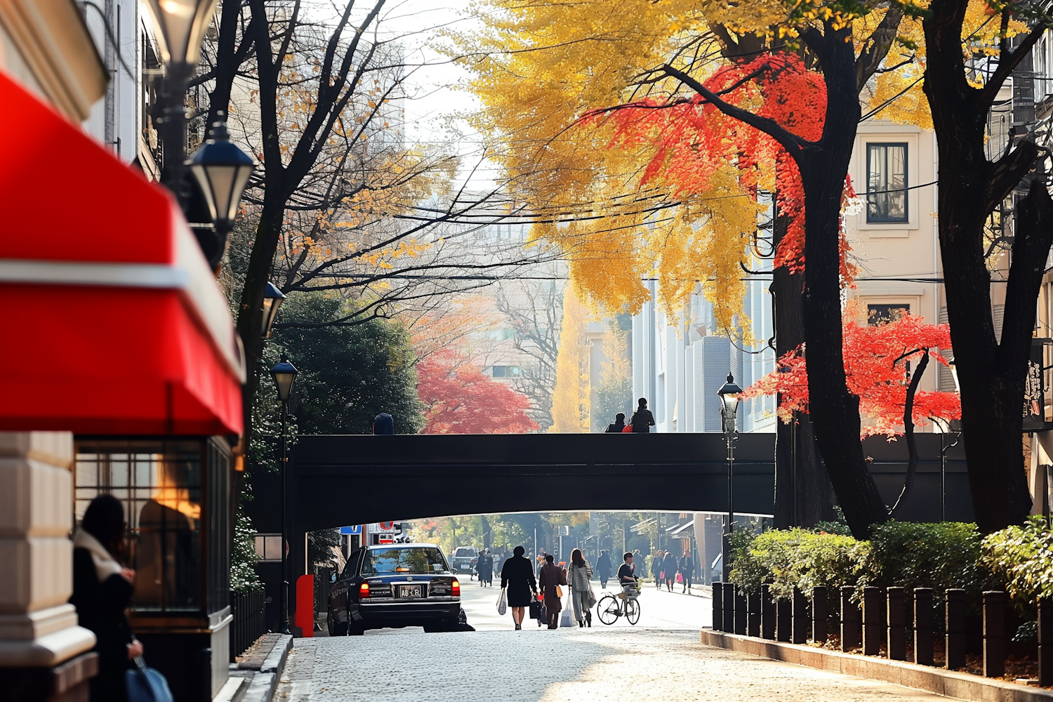 Autumn in the City