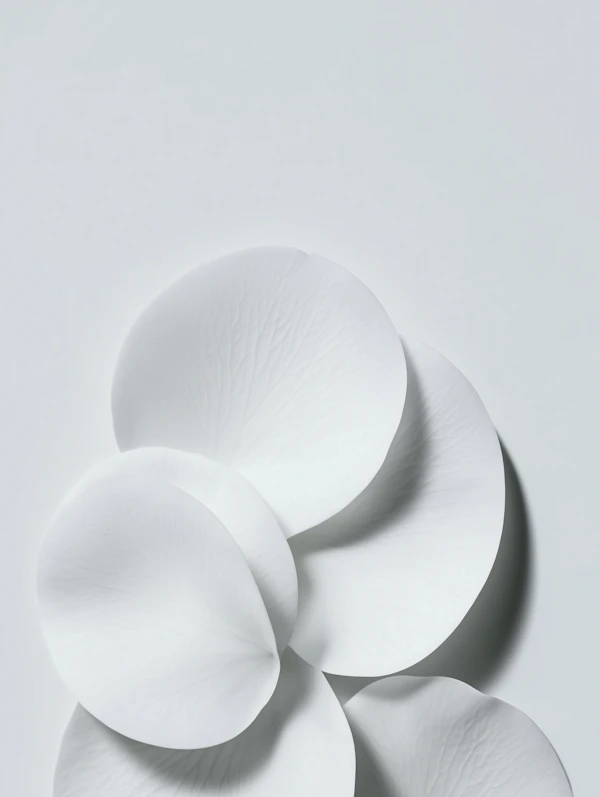 White Petal Elegance