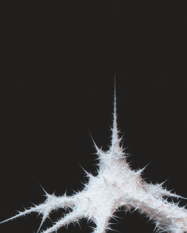 Spiky Organic Structure