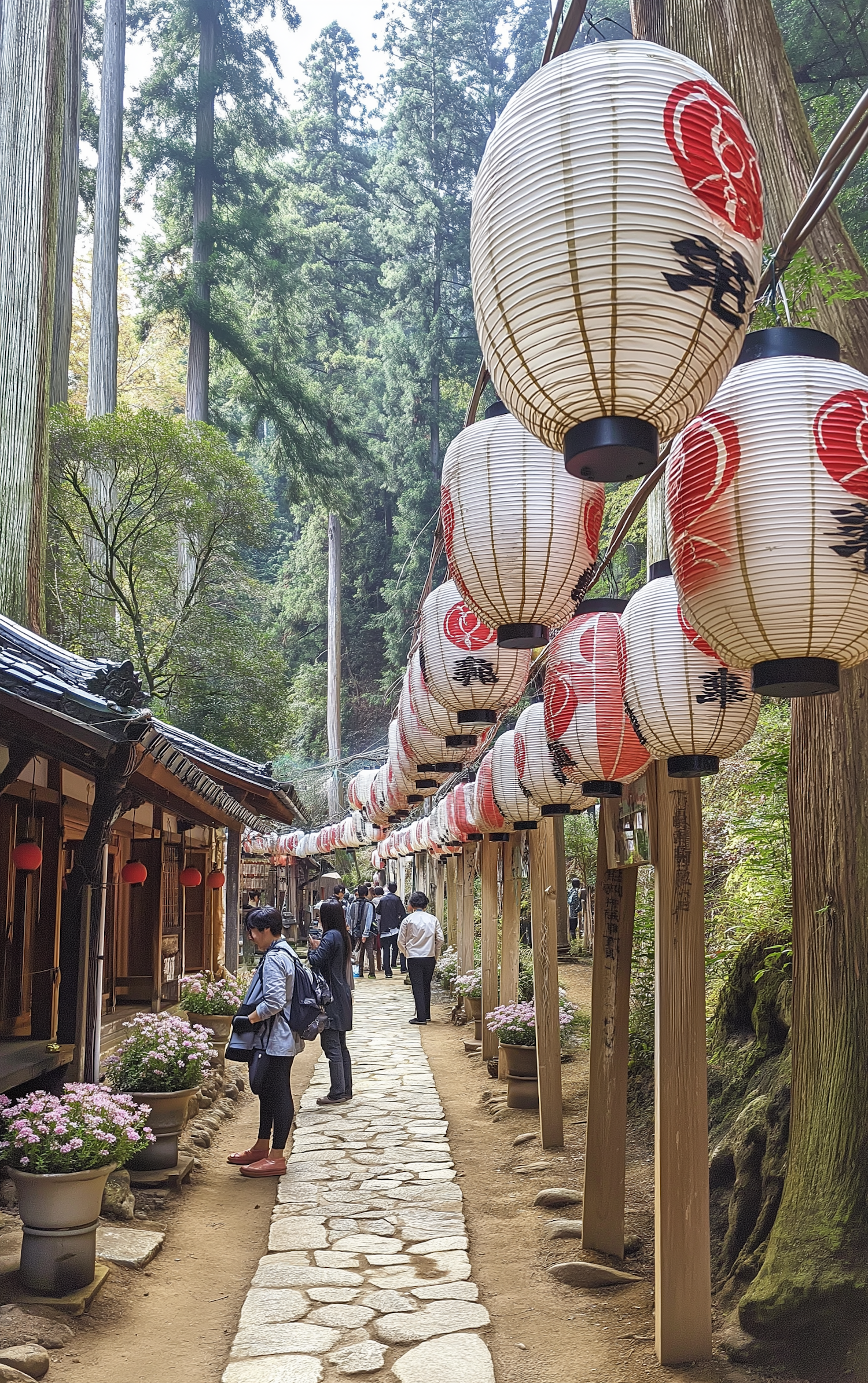 Serene Pathway with Japanese Lanterns