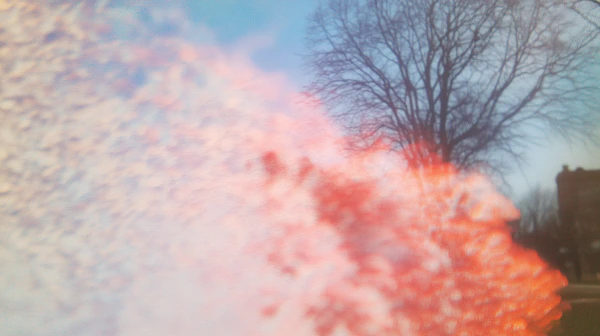 Abstract Tree and Colors