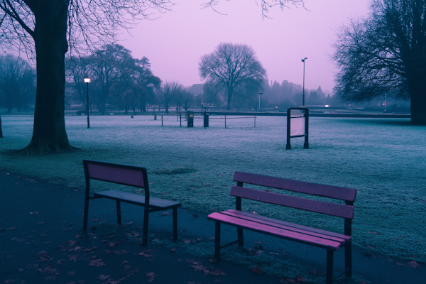 Serene Park Scene at Dawn