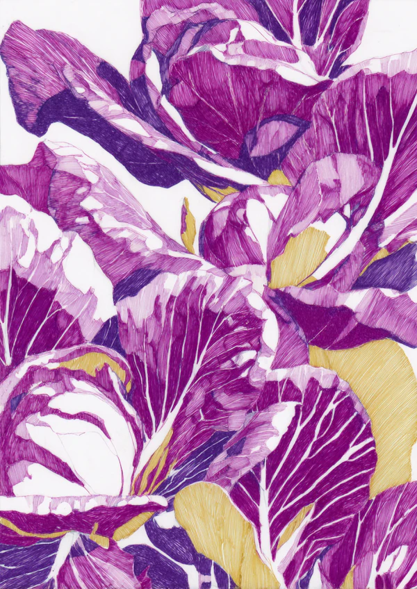 Vibrant Cabbage Art