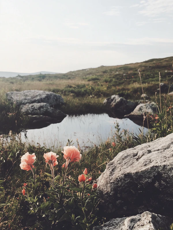 Serene Natural Landscape with Pond and Flowers