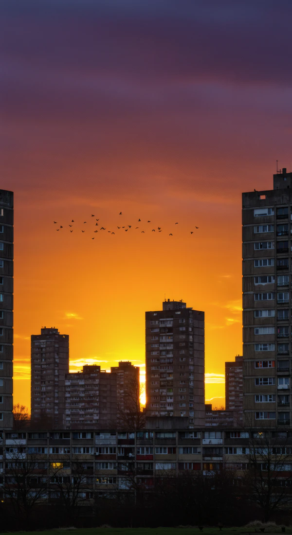 Urban Sunset Silhouette