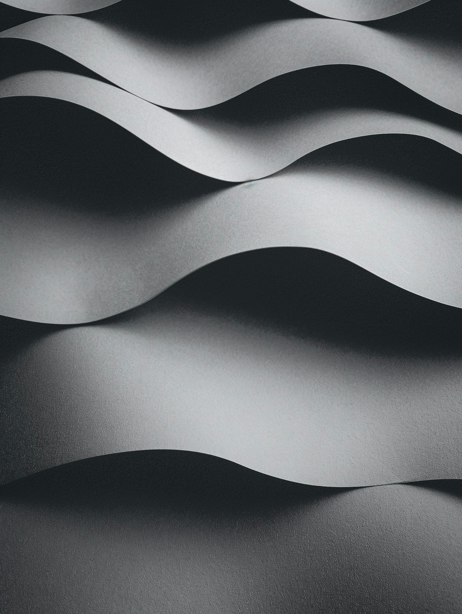 Abstract Wavy Forms in Grayscale