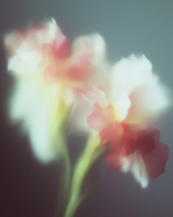 Ethereal Floral Art