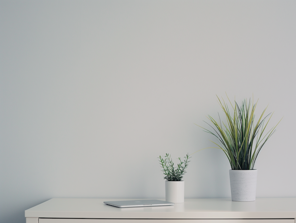 Minimalist Office Desk Setup