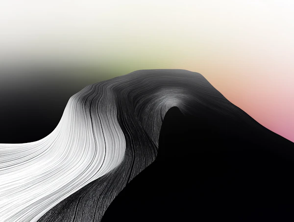 Abstract Fluid Form