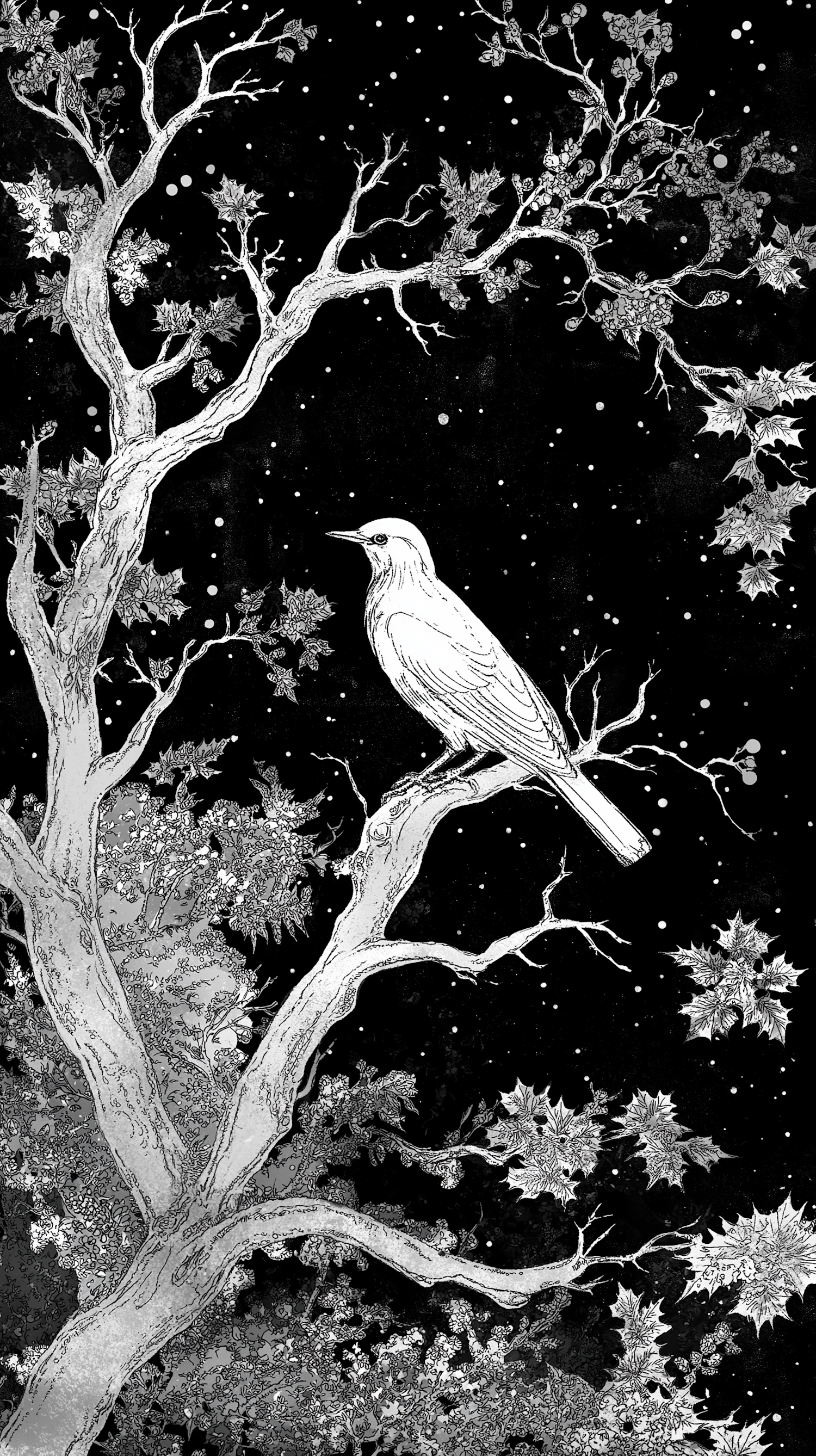 Monochromatic Bird Illustration