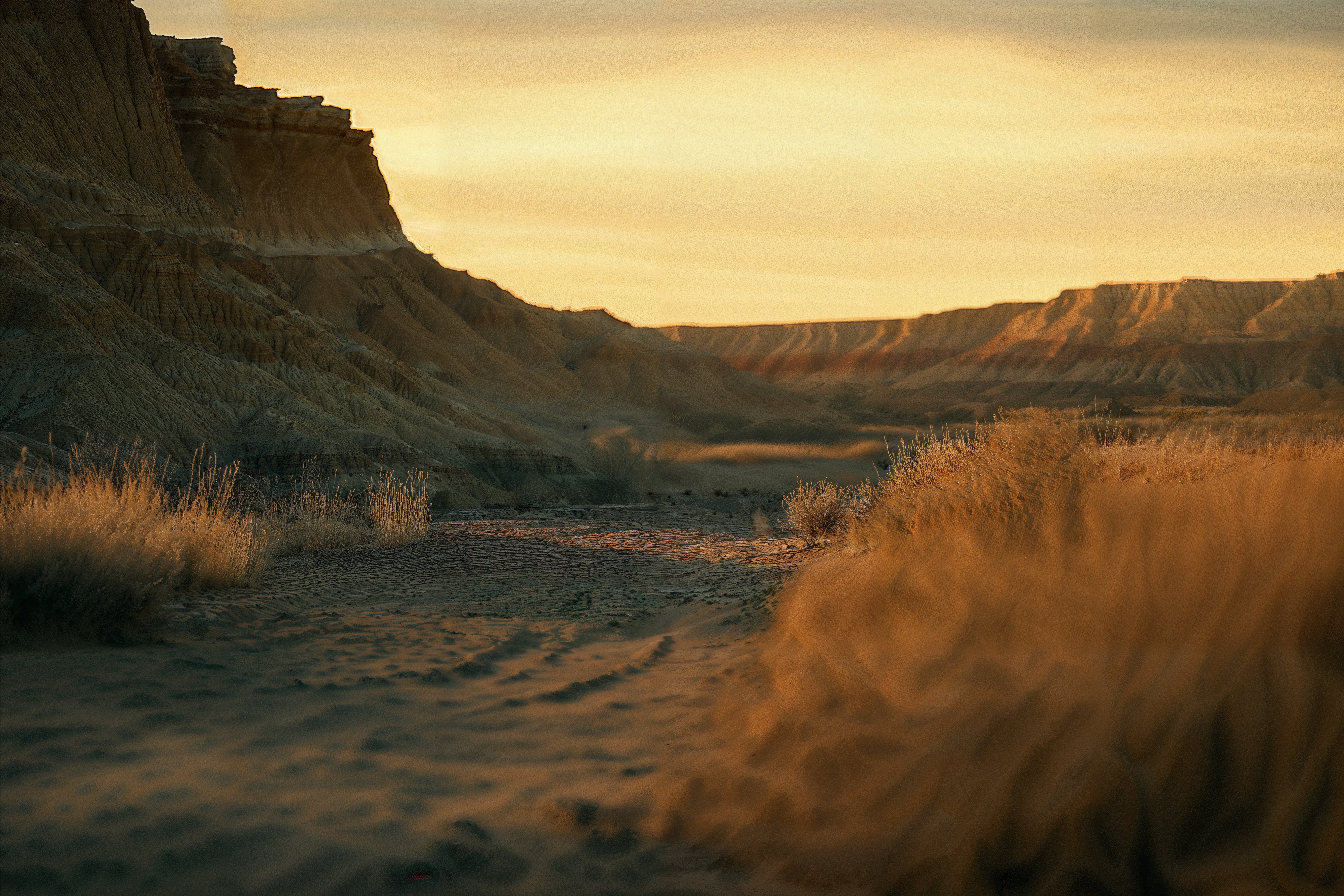 Golden Desert Sunset Photo on Lummi