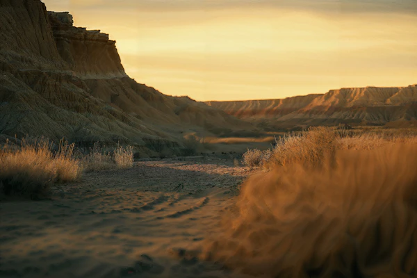 Golden Desert Sunset