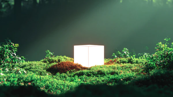 Glowing Cube in Forest