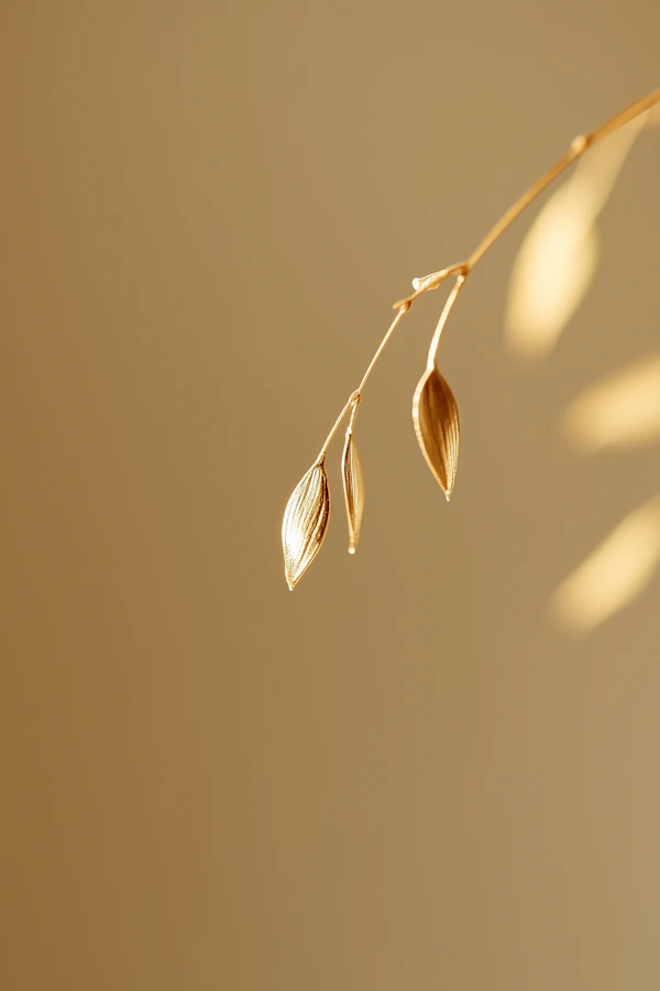Golden Seed Pods