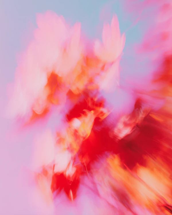 Ethereal Floral Hues