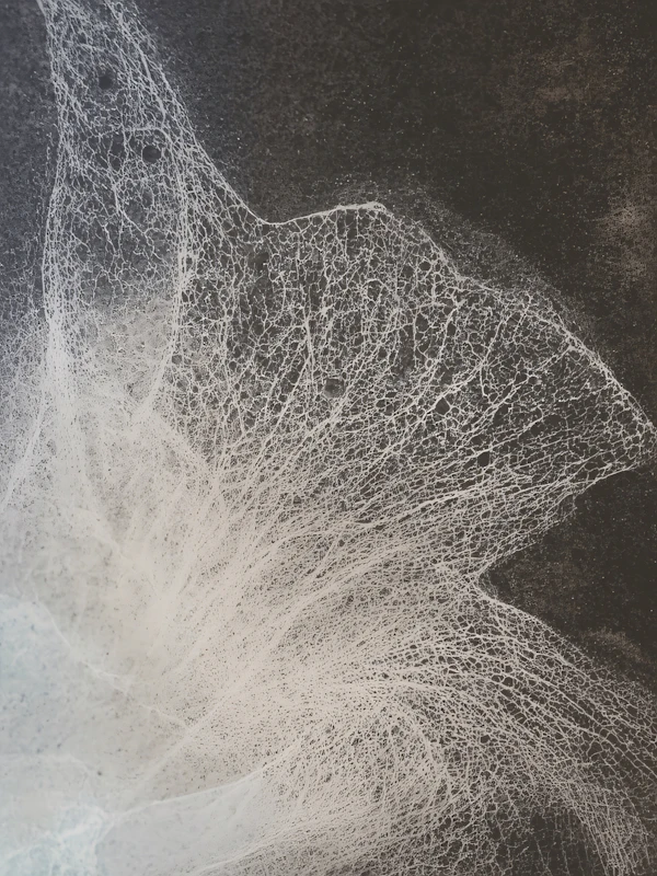 Intricate Web Patterns