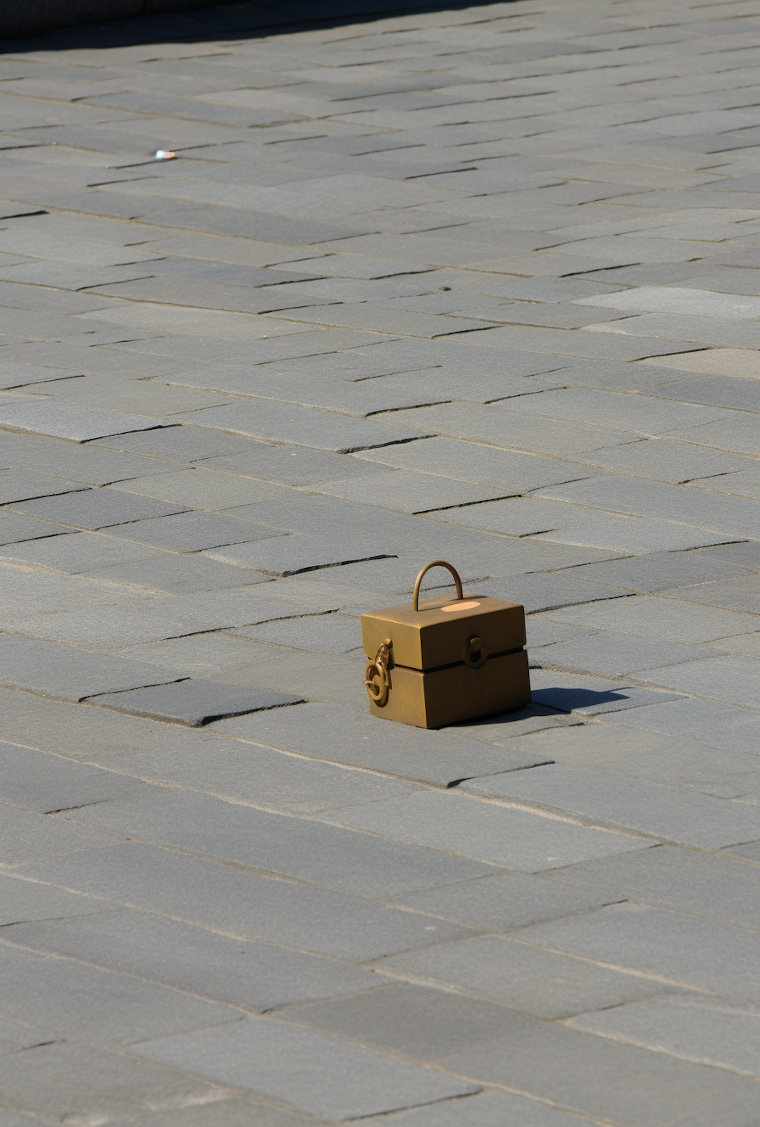 Solitary Sunlit Briefcase