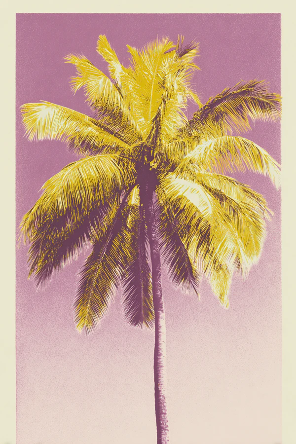 Tropical Sunset Artwork