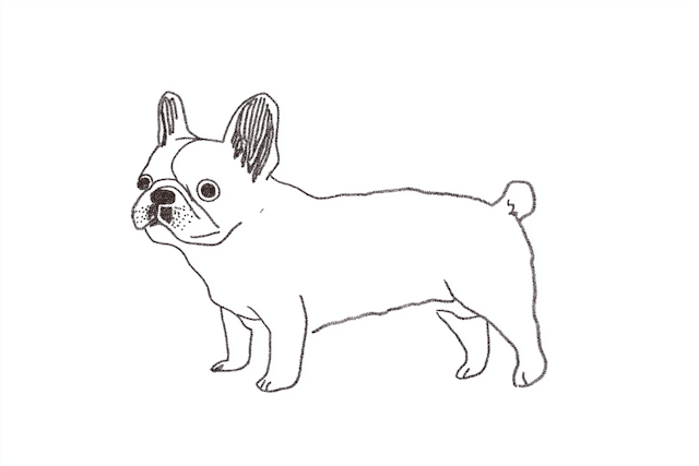 Minimalistic French Bulldog Drawing