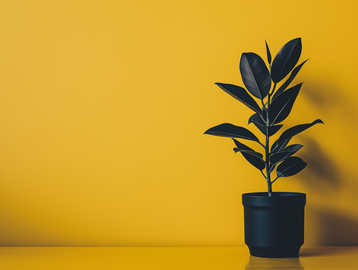 Minimalist Potted Plant Against Yellow Background