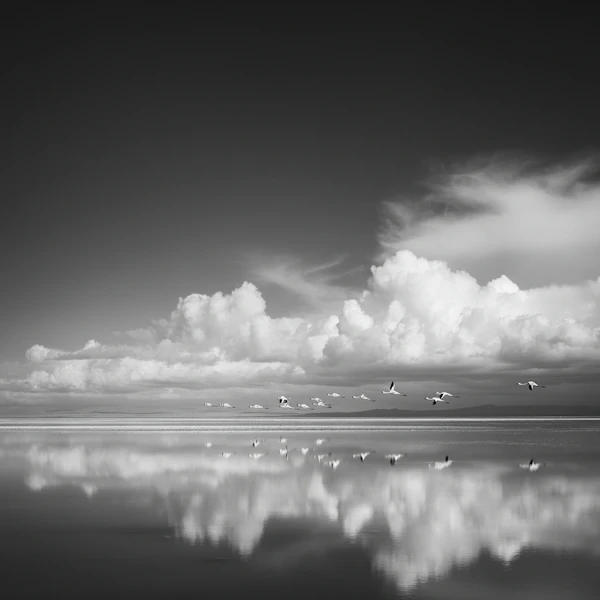 Serene Monochrome Scene