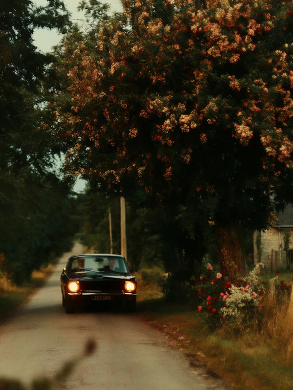 Vintage Car Countryside