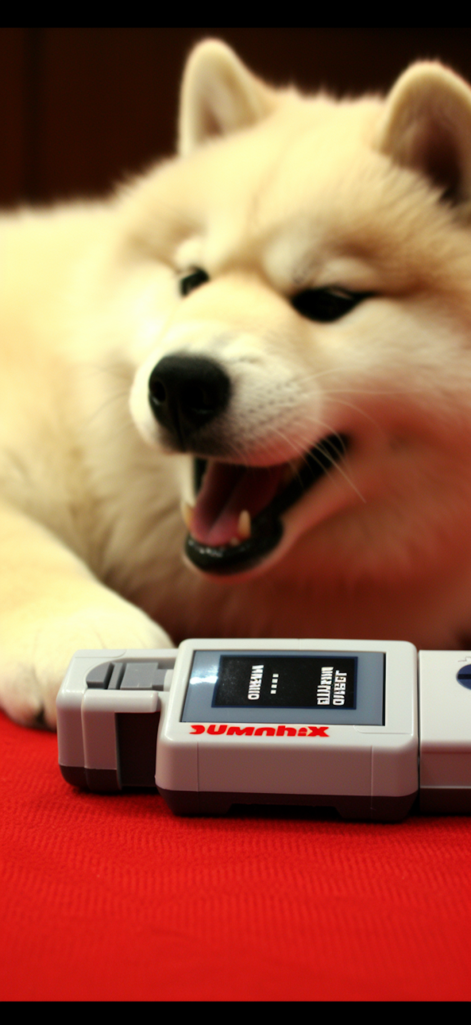 Retro Gaming Shiba