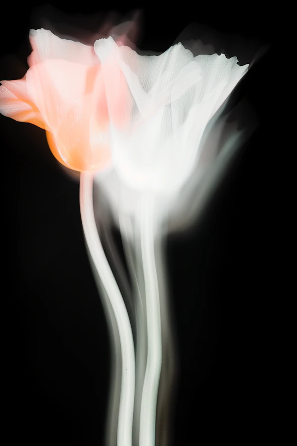 Ethereal Flowers Glow