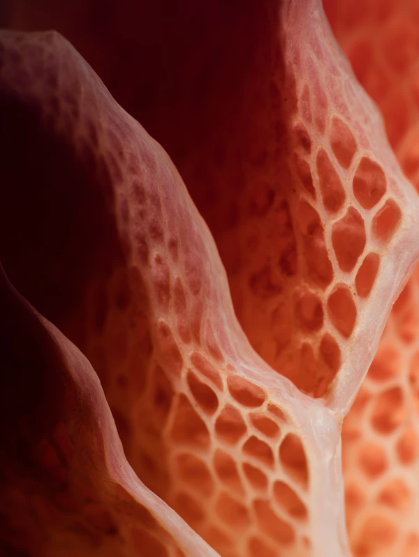 Textured Honeycomb Surface